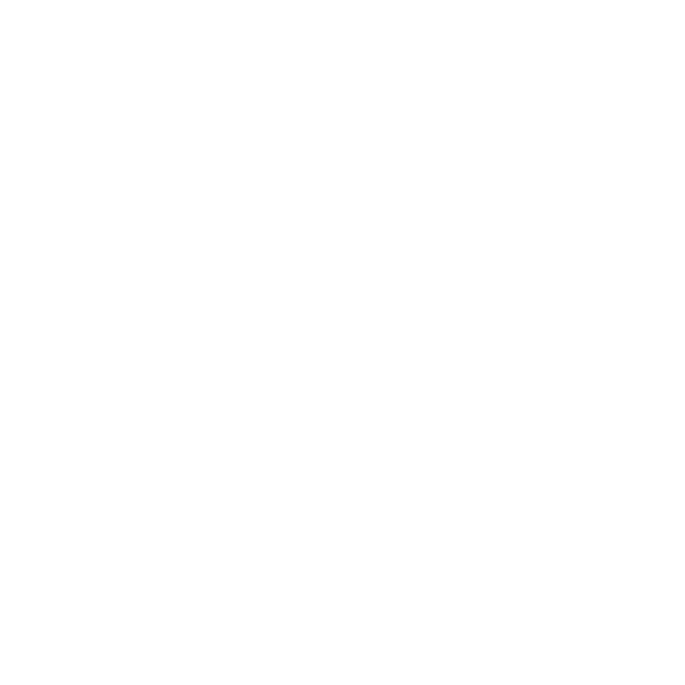 Alinoğlu A.Ş Logo